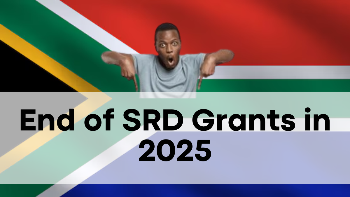 End of SRD Grants in 2025, Universal Basic Income to Be Implemented